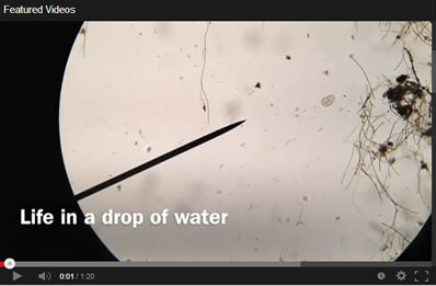 dropwater