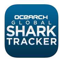 shark-tracker
