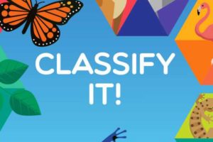 classify-it