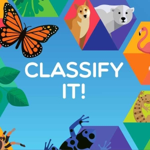 classify-it