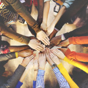 teacher diversity