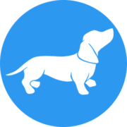 playposit app
