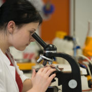 stem badging