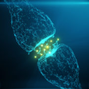 brain science