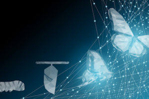 Background of beautiful abstract Business transformation innovation. Change from to high technology like butterfly life cycle. to imply with success future business growth concept or other transform