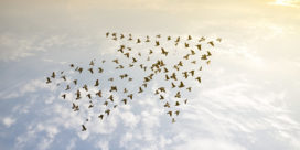 Birds in the sky form an arrow pointing to the future of learning for students.