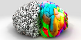 The two sides of the brain illustrate left and right brain concepts--both are used to cultivate a maker mindset.