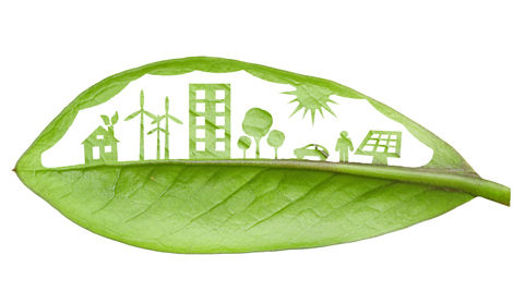 MU researchers examine impact of sustainable 'green' school buildings on ecological literacy