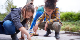 New online ecology programming aims to better connect students and teachers with the outdoors—just when everyone needs it most
