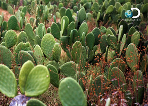 New Mexico's Aztec Municipal School District Renews Multiyear Partnership Driving Student Engagement in Science - Vimarsana News