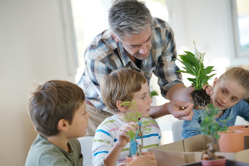 Weaving nature into existing science lessons can foster student curiosity and creativity and invigorate your teaching.