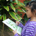 7 principles of outdoor learning for early childhood